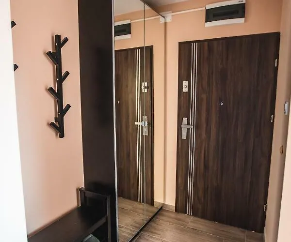 Apartament Sunlight Gold Penthouse - Exclusive Seghedin